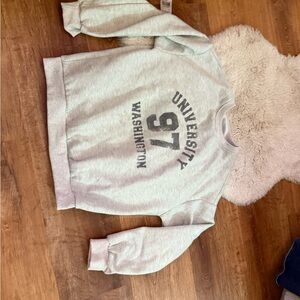 Gray University Washington Sweatshirt